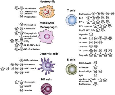 Nutritional Modulation of Immune Function: Analysis of Evidence, Mechanisms, and Clinical Relevance